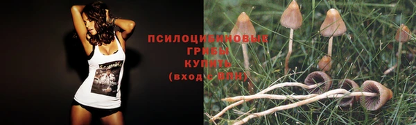 бошки Абинск