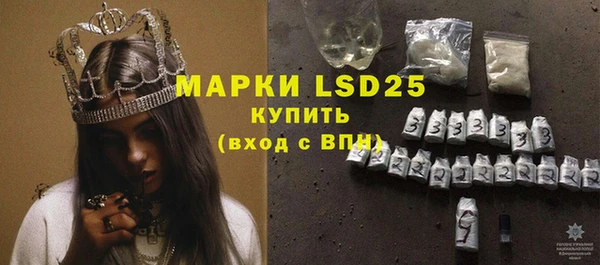 хмурый Алзамай