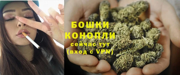 гашик Дмитриев
