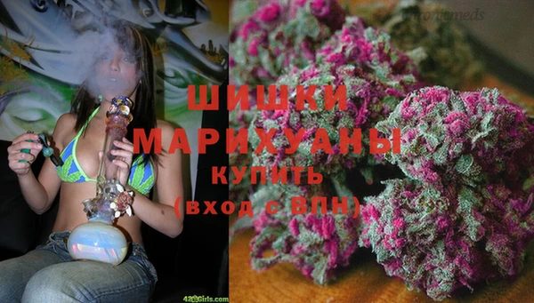 бошки Абинск